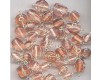Wire Wrapped Pale Peach Mix - 100g